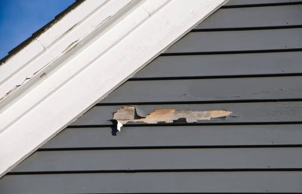 Best Vinyl Siding Installation  in Fairfax Station, VA